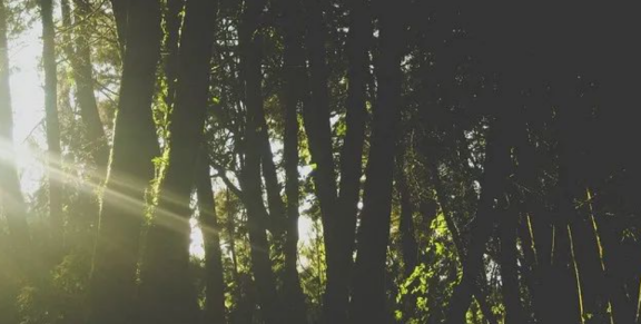 1716289999212013.png 1716289999212013.png